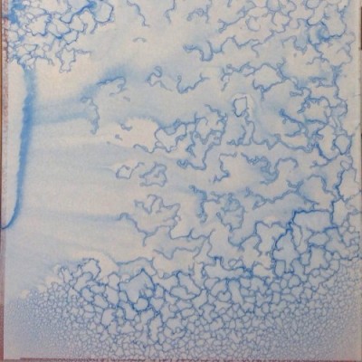 proembrion/ drops