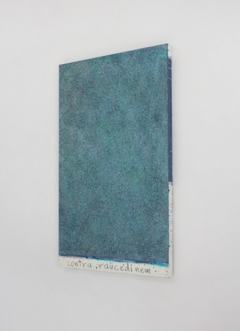 OBRAZY UŻYTKOWE, polish ,contemporary art, asp